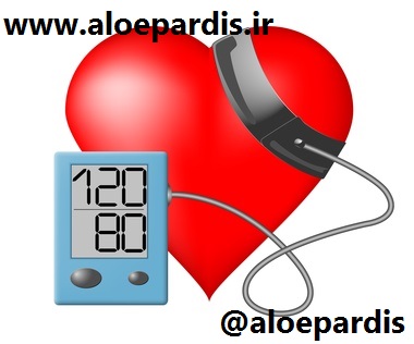 Heart and blood pressure monitor on a white background
